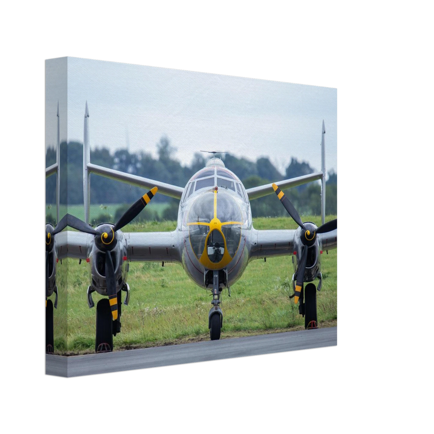01860bee-dcc2-4cf5-a3d1-0f69e7eea52c