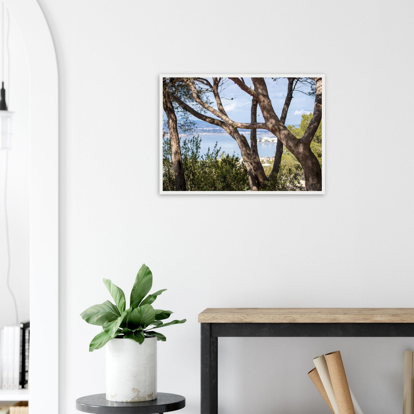 Arbres, étang de Thau - France
