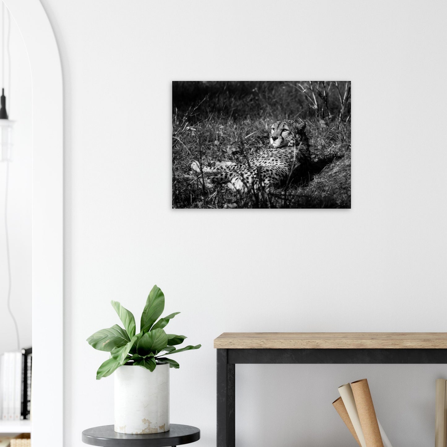 2ea8a544-2894-4e21-ac17-0b3d3c389602