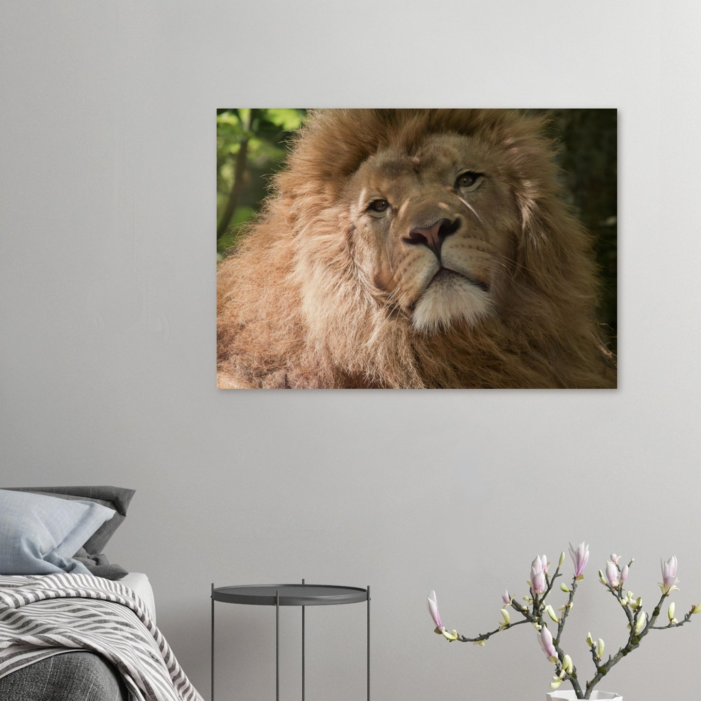 49706daa-0f58-4953-b247-84f5dbee7467