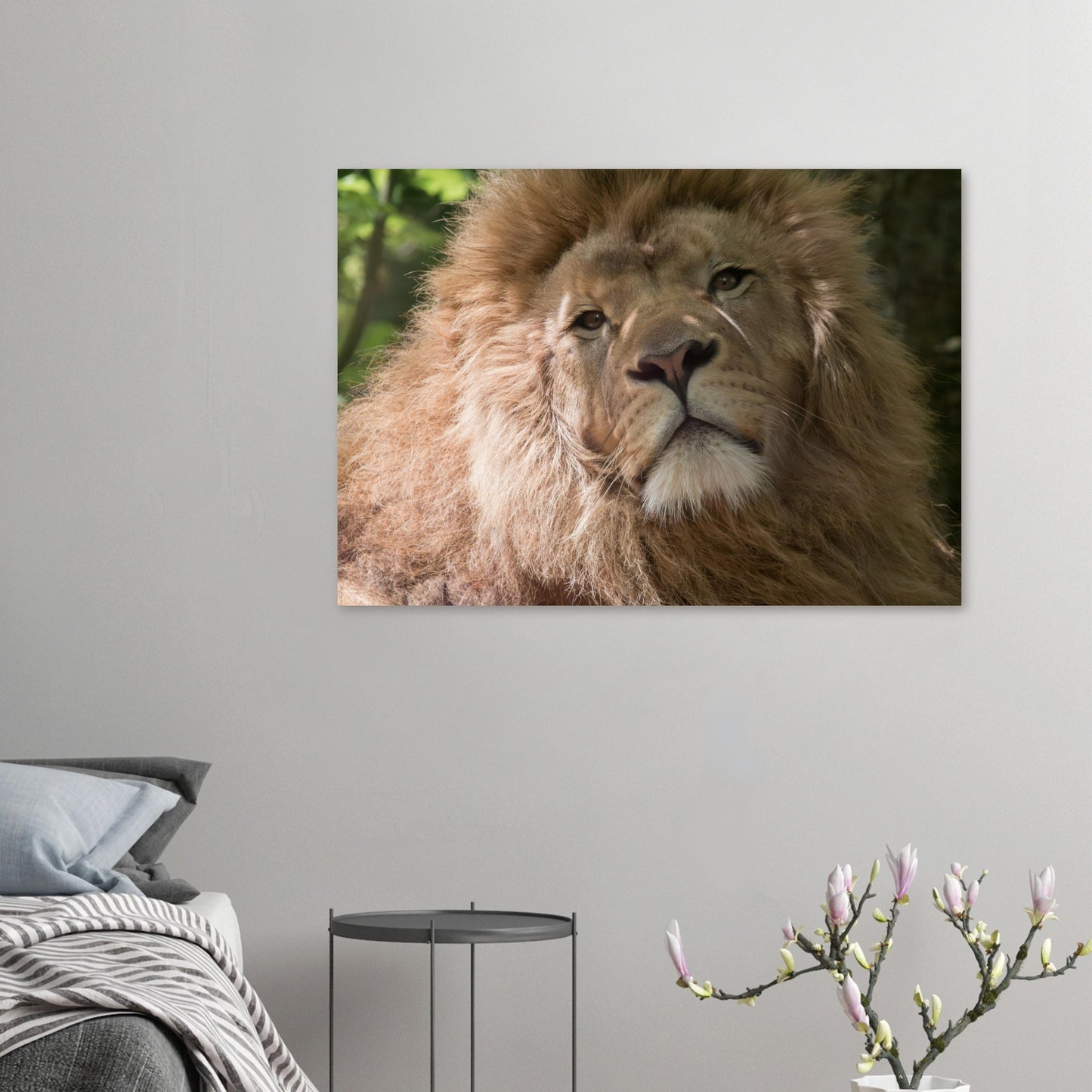 lion - Tableaux et posters de qualité, disponibles en différentes dimensions et matières.