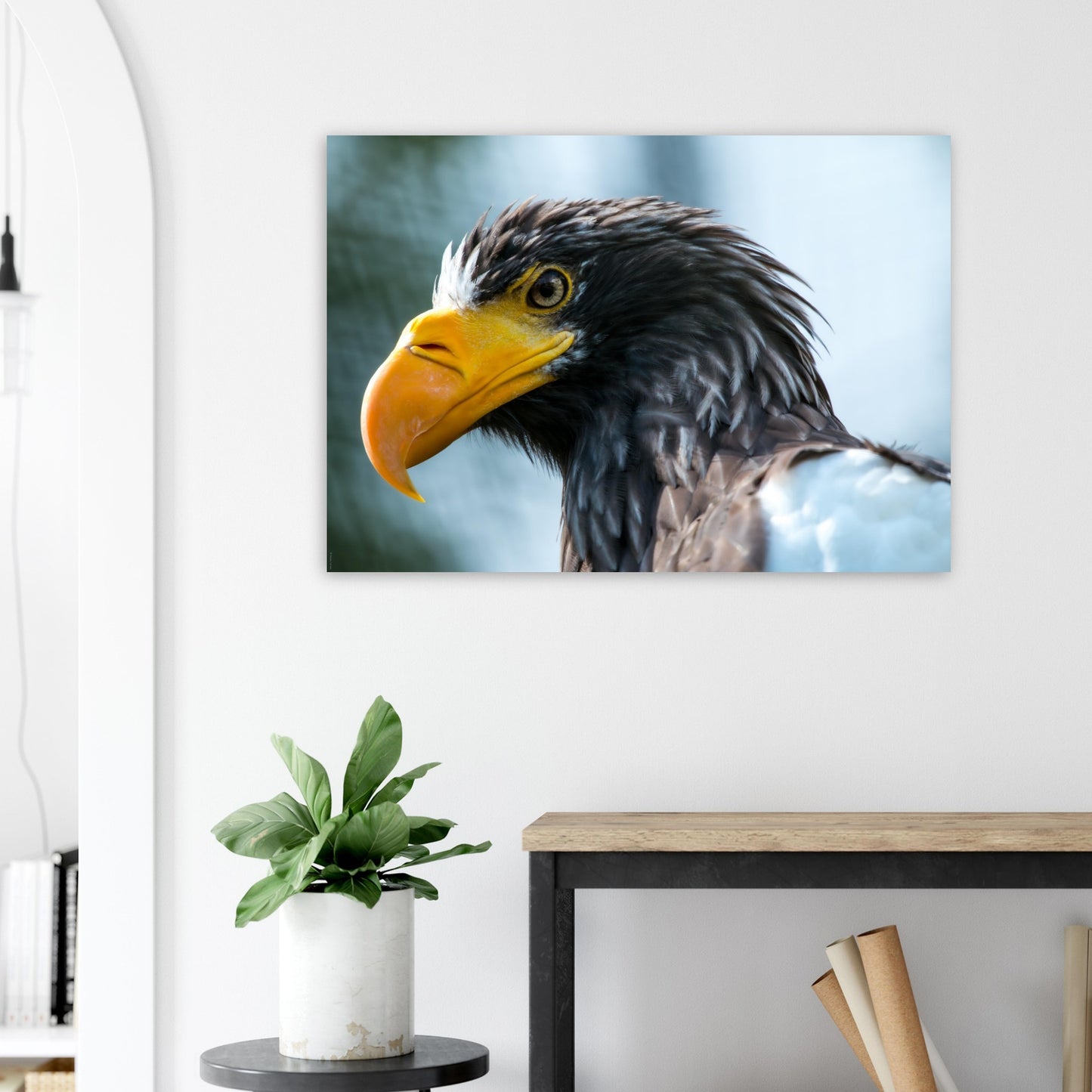pygargue empereur - Tableaux et posters de qualité, disponibles en différentes dimensions et matières.