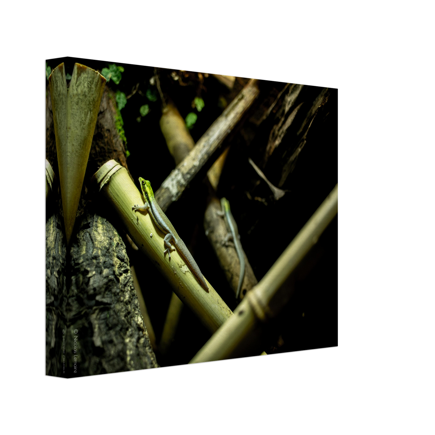 7c090282-cdd7-4e32-bec1-481ef8297f4d