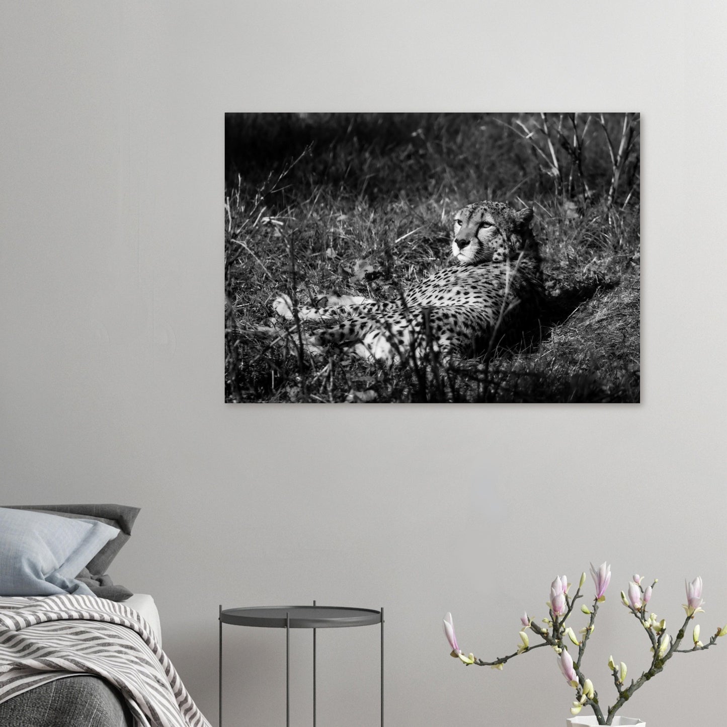 guépard - Tableaux et posters de qualité, disponibles en différentes dimensions et matières.