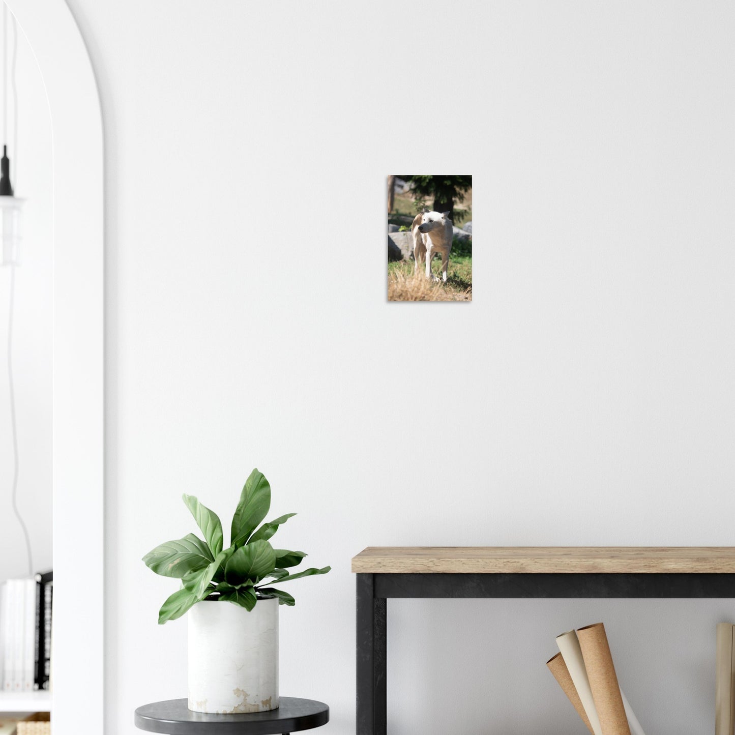 White wolf - Wall decoration