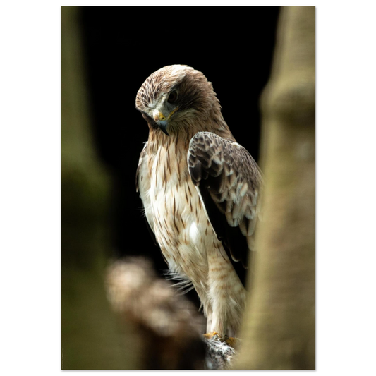 a253f45e-d285-45bc-81bd-a337ca3bedab