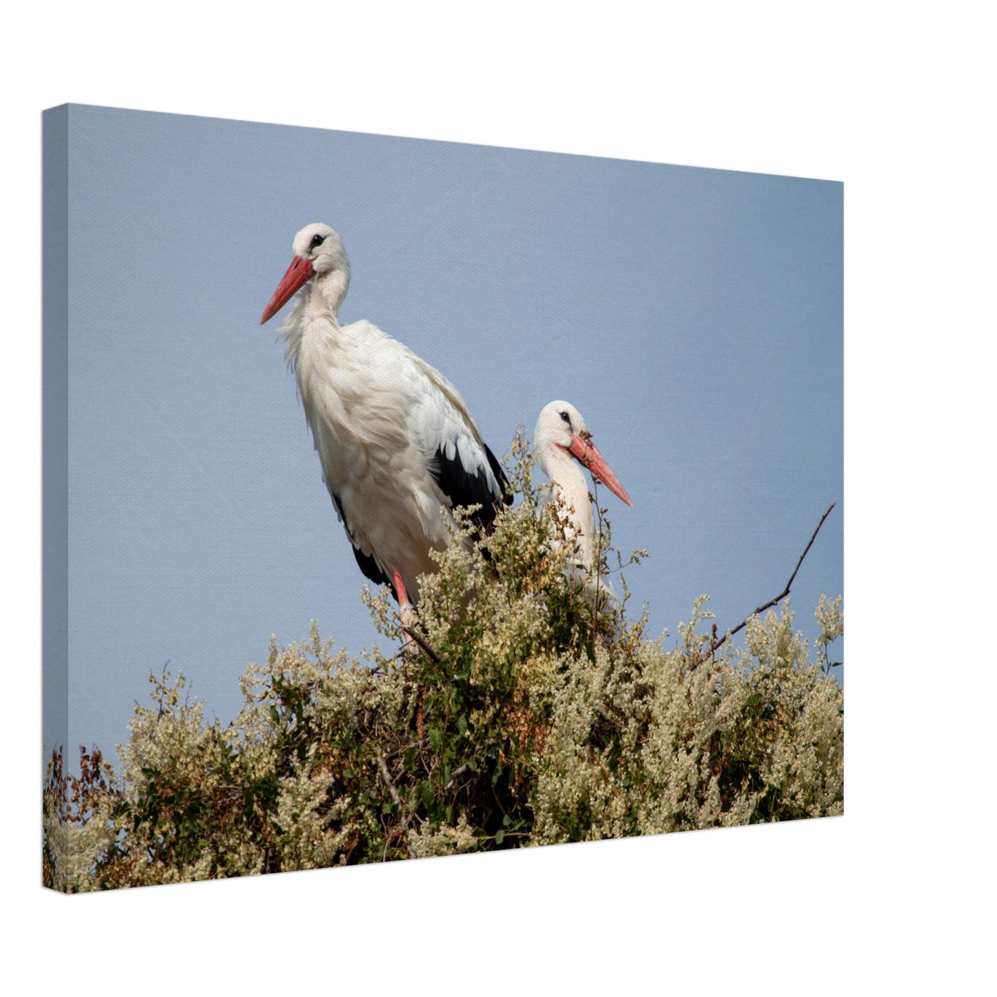 bbc26378-c961-4584-b5eb-a0a765d10898