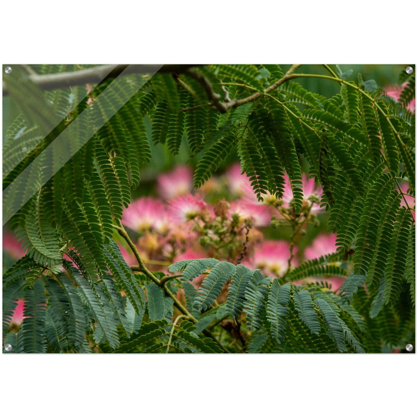 c27d4e19-3fd7-4ce1-8d27-99ed2a753a53