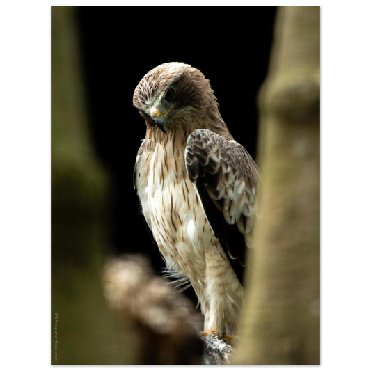 d26cb3f6-0c83-4b78-bd27-04b91fc41ede