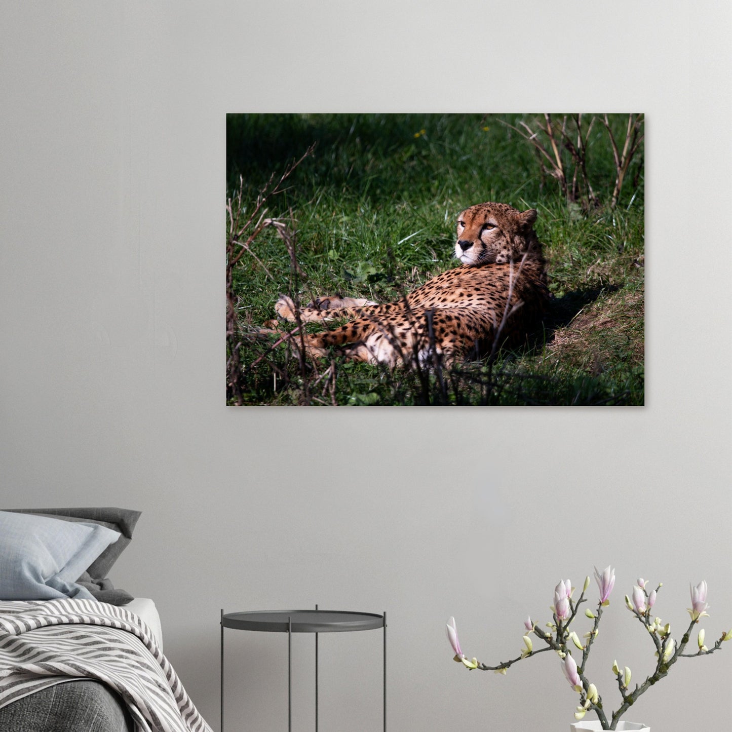 guépard - Tableaux et posters de qualité, disponibles en différentes dimensions et matières.