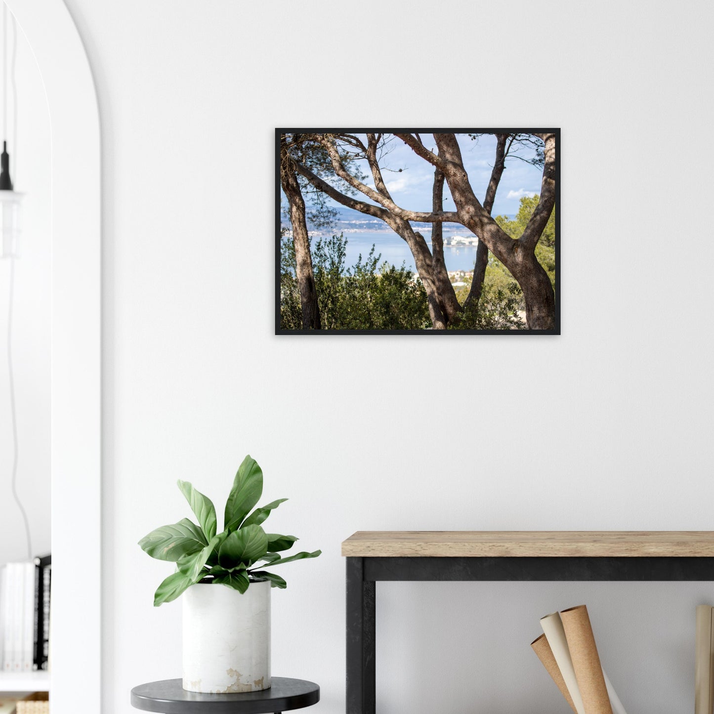 Arbres, étang de Thau - France