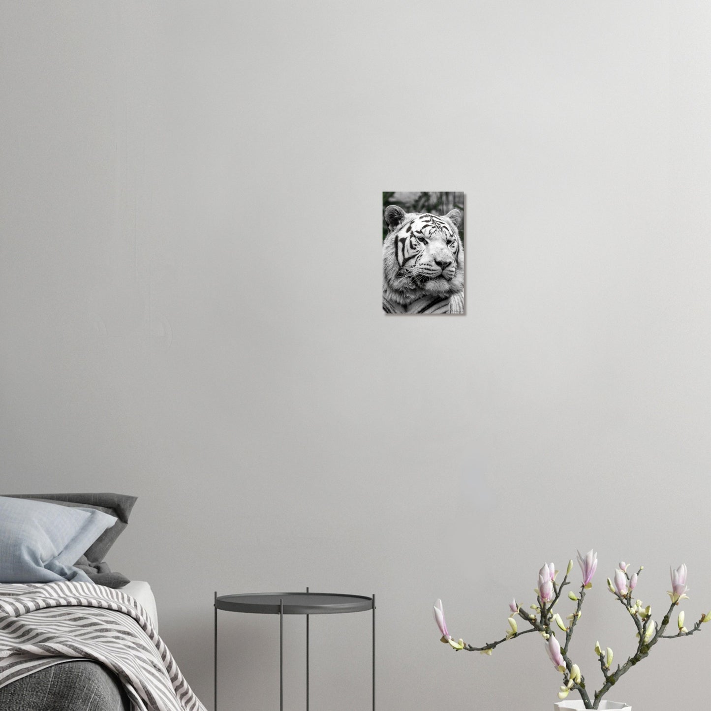 Tigre blanc - Décoration murale