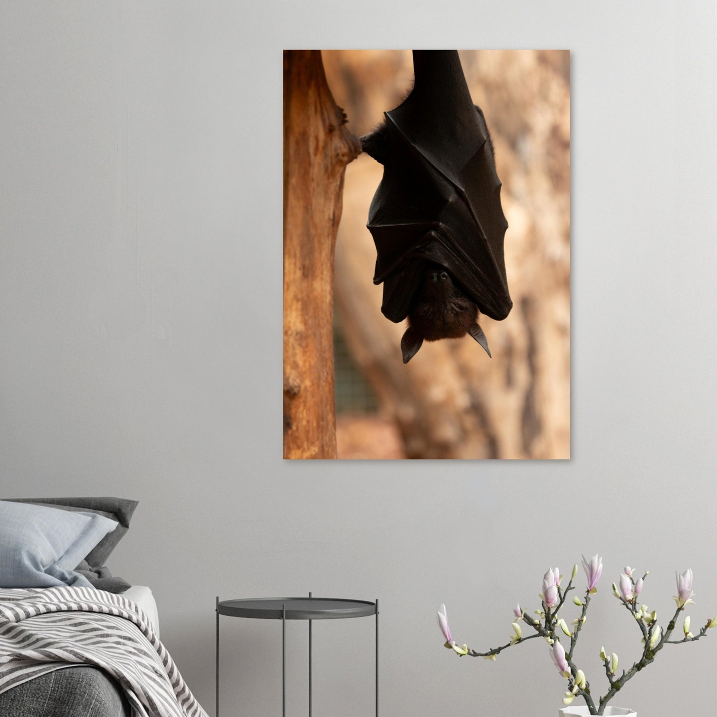Chauve-souris - Tableaux et posters de qualité, disponibles en différentes dimensions et matières.