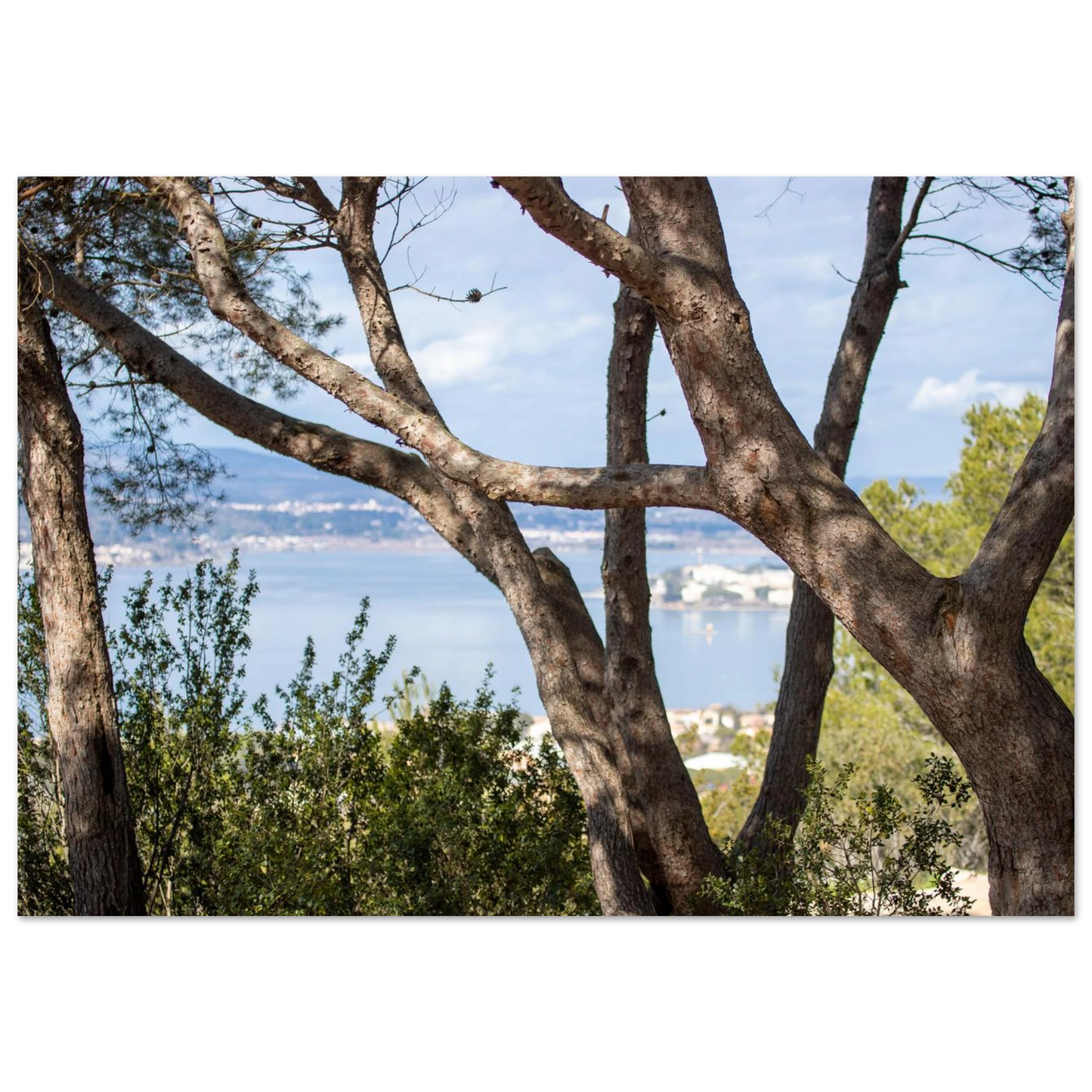 0d3c48da-8d2f-447b-b27b-d2d97f89f3cc