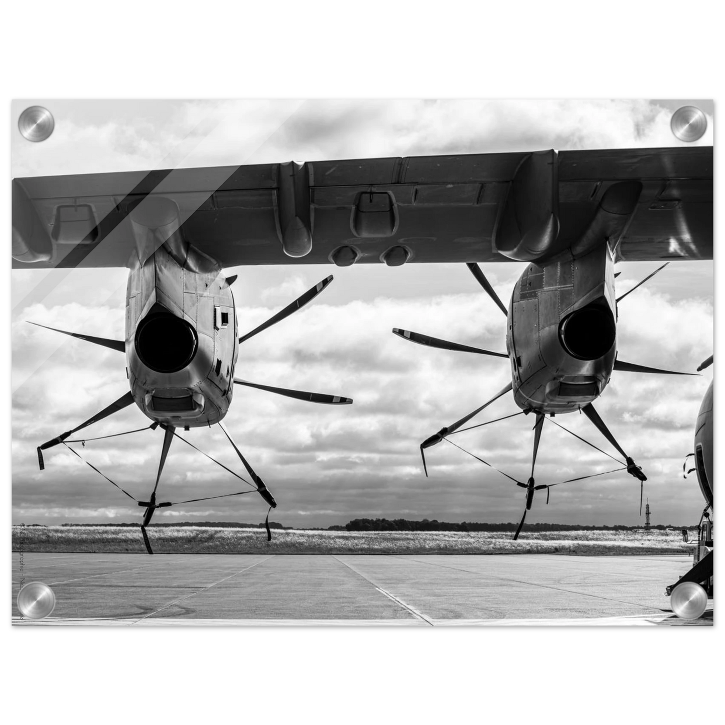 1133fc9d-afab-4fa9-92d3-b63850627ee2
