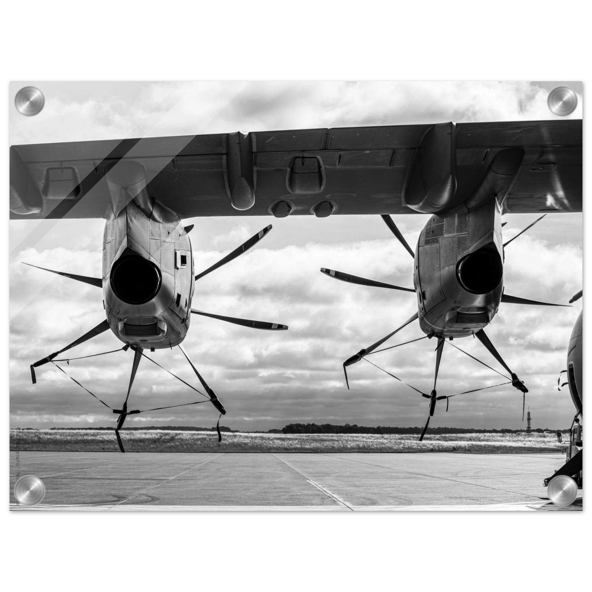 1133fc9d-afab-4fa9-92d3-b63850627ee2