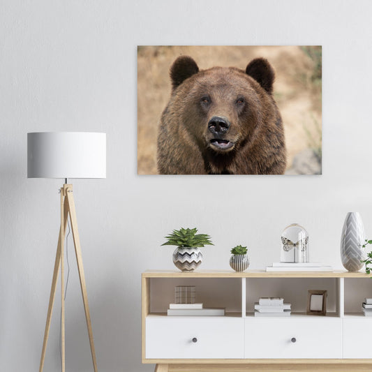 ours - Tableaux et posters de qualité, disponibles en différentes dimensions et matières.