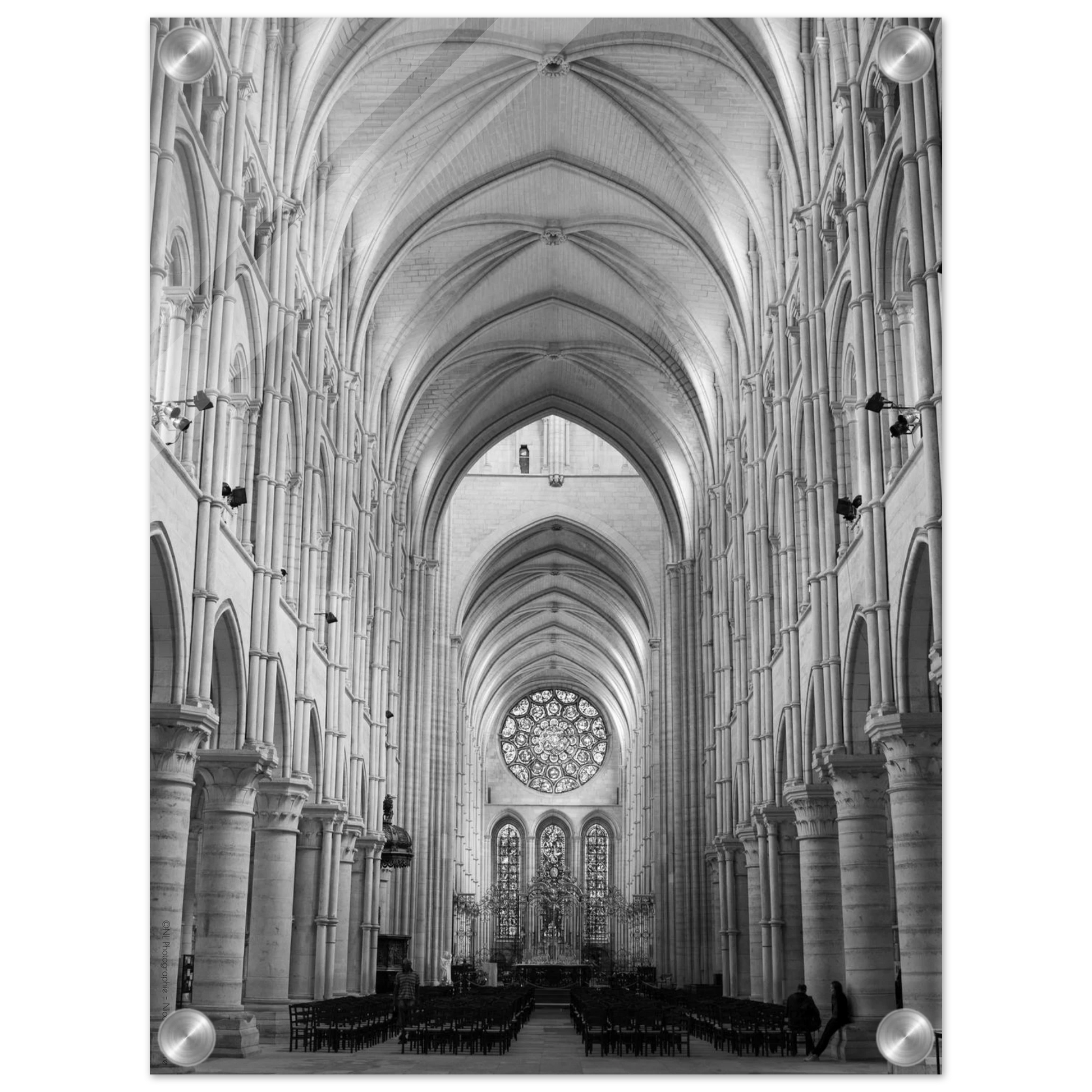 1247246e-e1e8-44dc-bd81-334e60f087d9