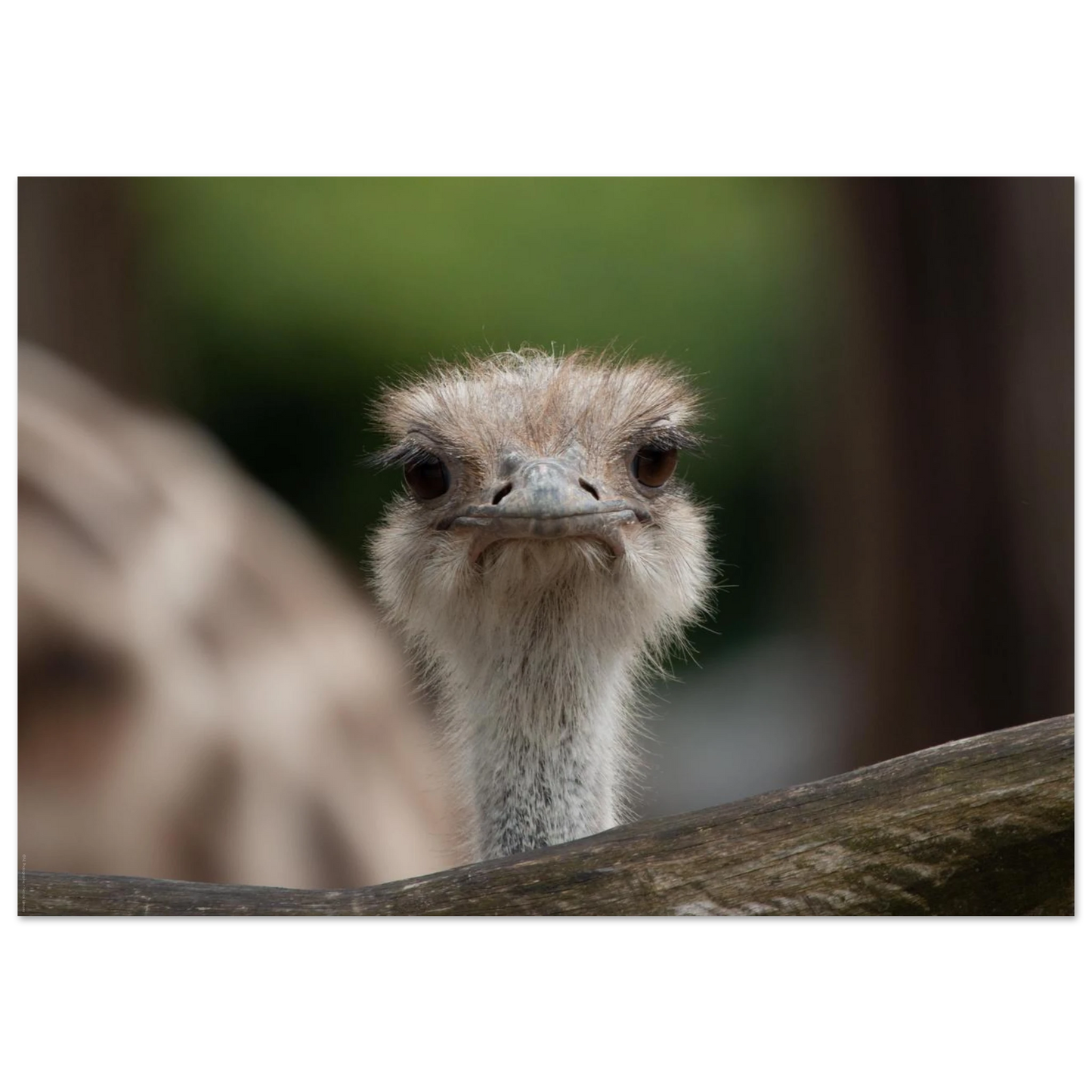 125e0b11-65b9-4d3f-83f1-f513f2d4995e