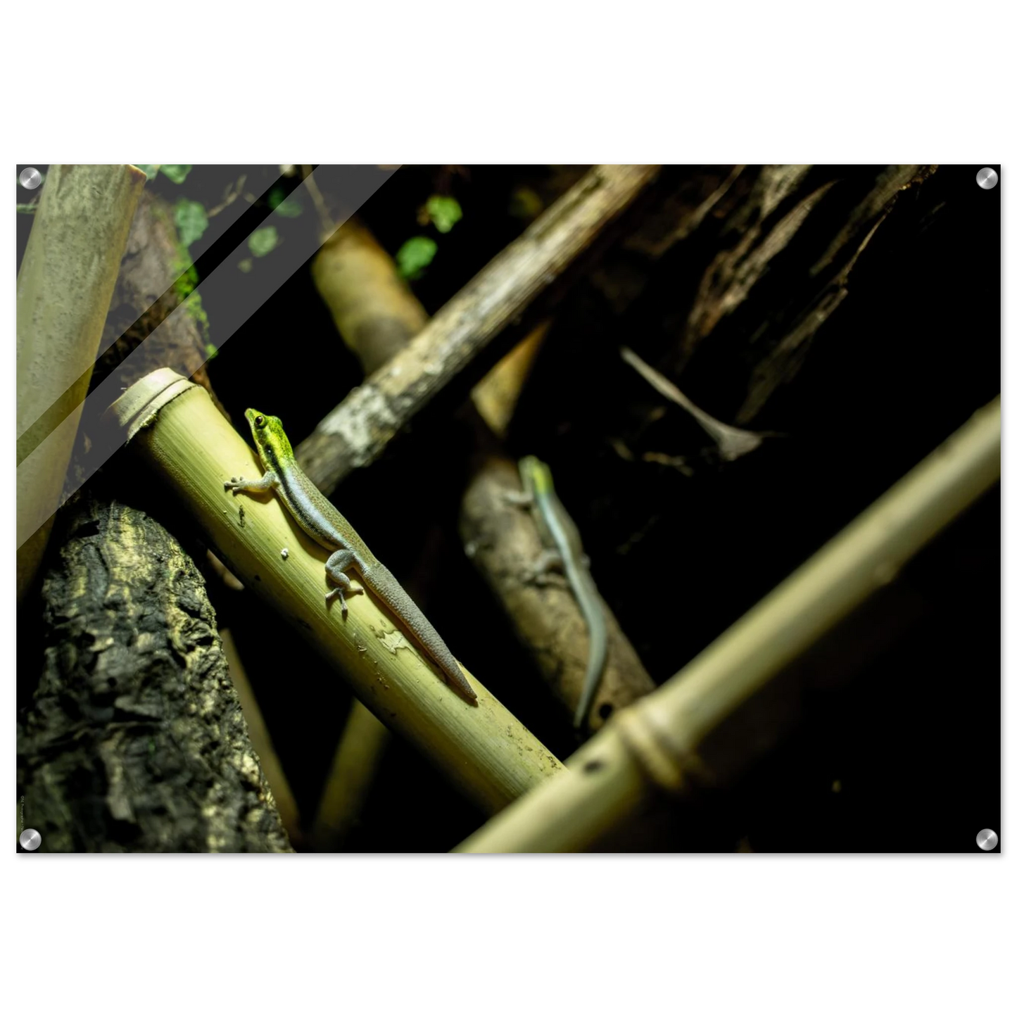 127477cc-4d4b-42ba-8f68-6d7692b3e560