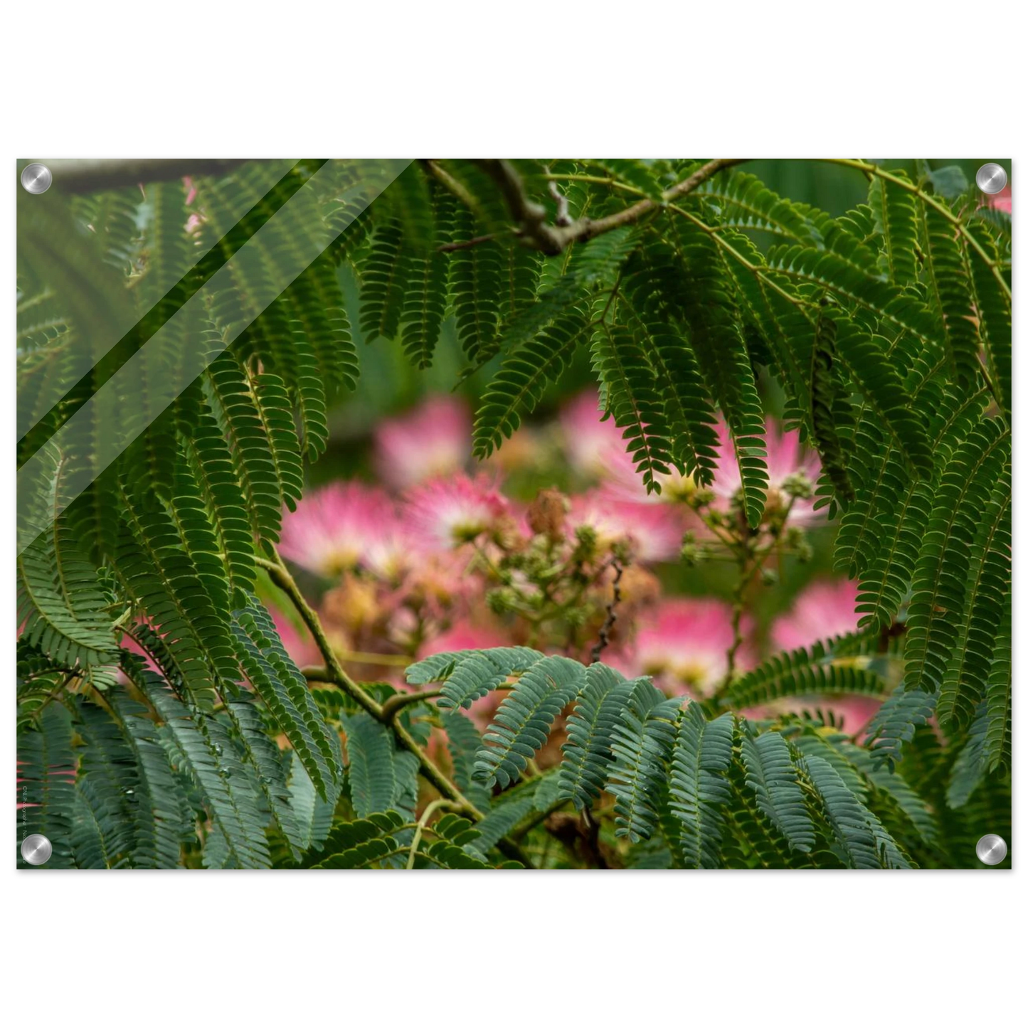 14fe8f4a-abd8-4e21-91a7-8afb86978198