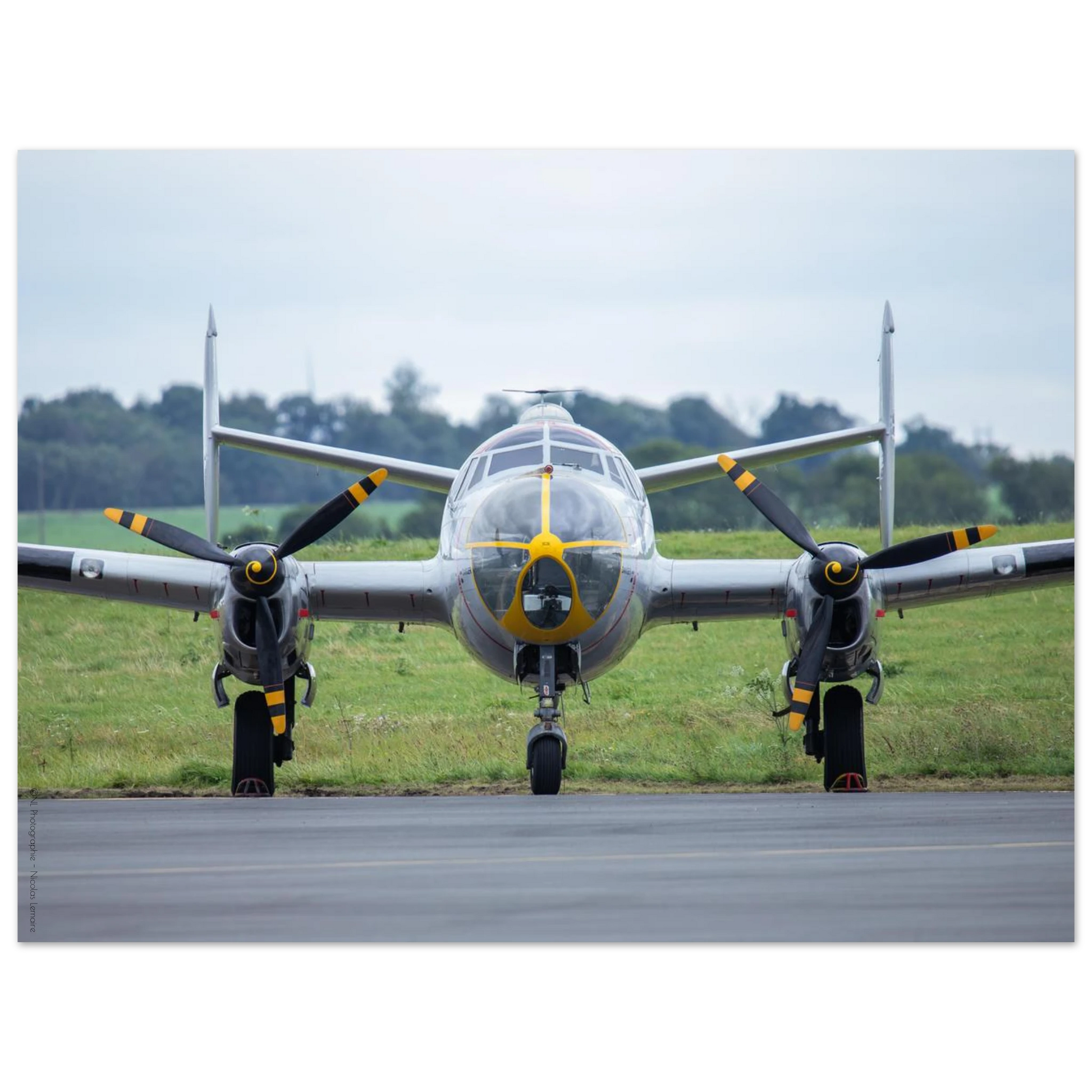 17316b5d-e780-4709-b17a-d89098af817c