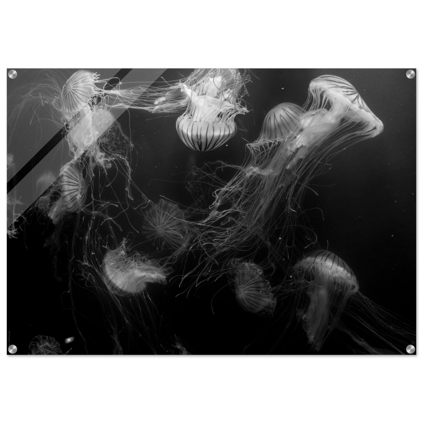 17d3468a-77fb-4439-b5b8-e470f18fab4e