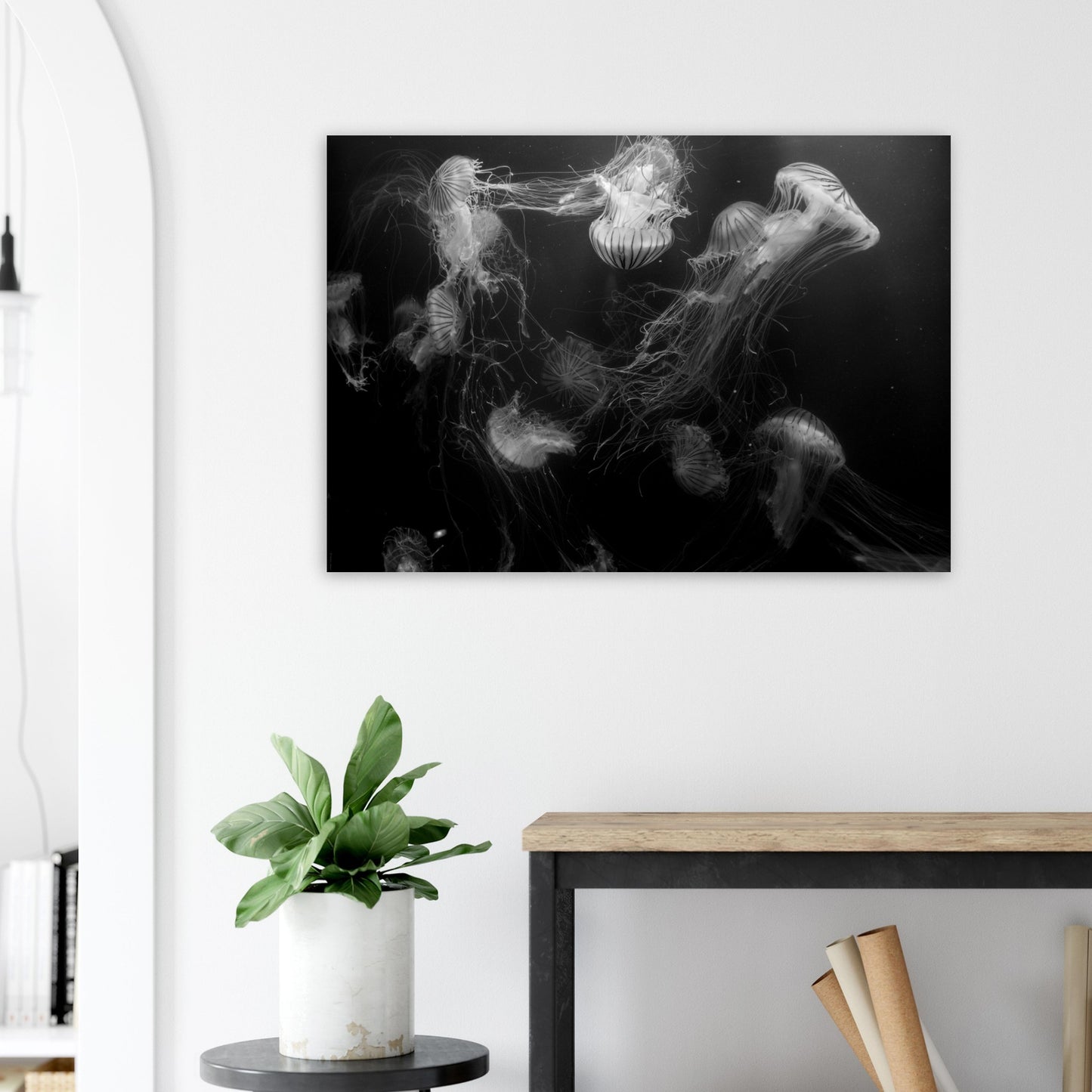 Méduses - Noir & Blanc - Décoration murale