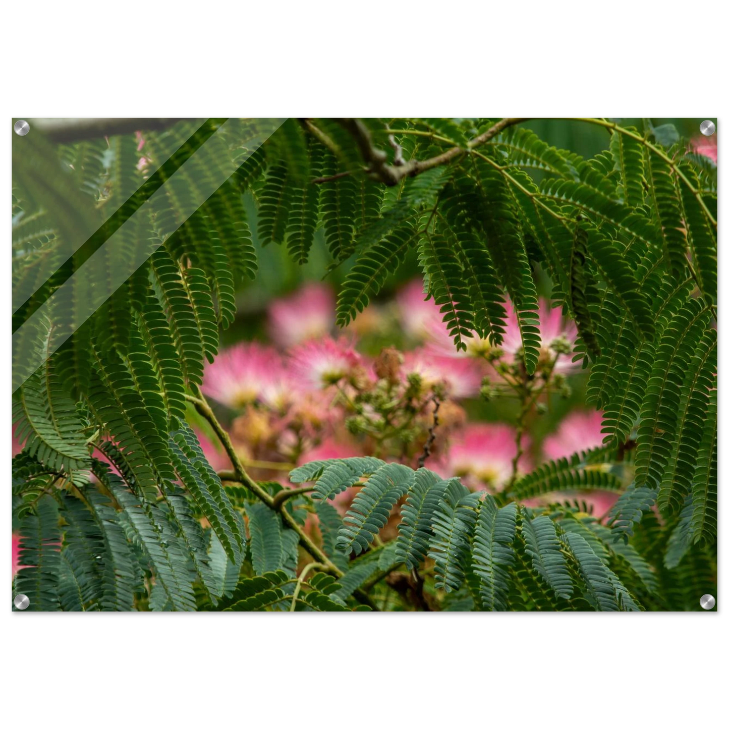 1e6a5ff5-eacc-496e-884e-bb9a270219b0