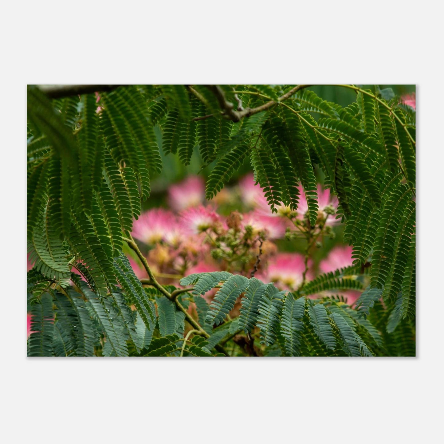 21c7b57f-2d79-4ff8-bbe1-7d0cfed68327