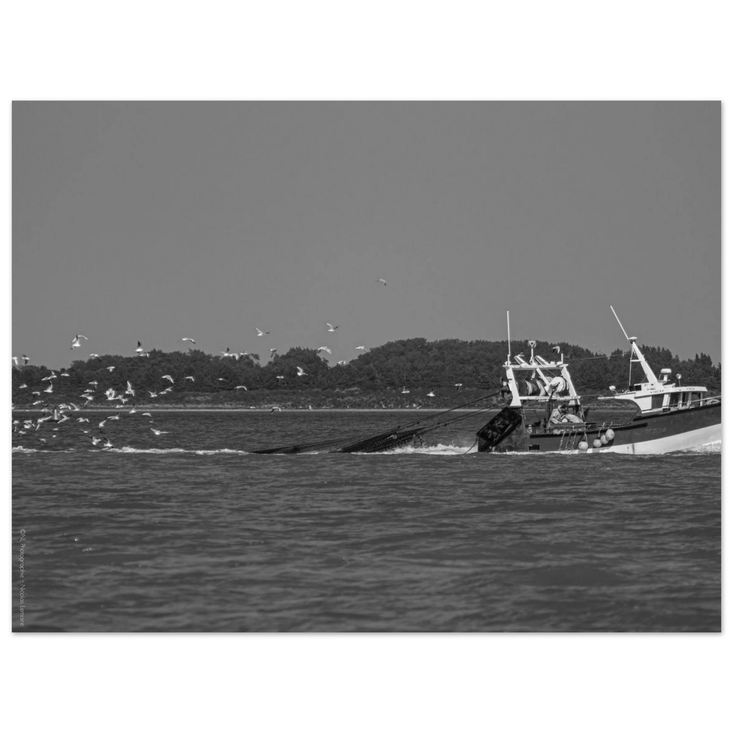 29cc070f-2f26-4295-ad71-caa5b3d4cada