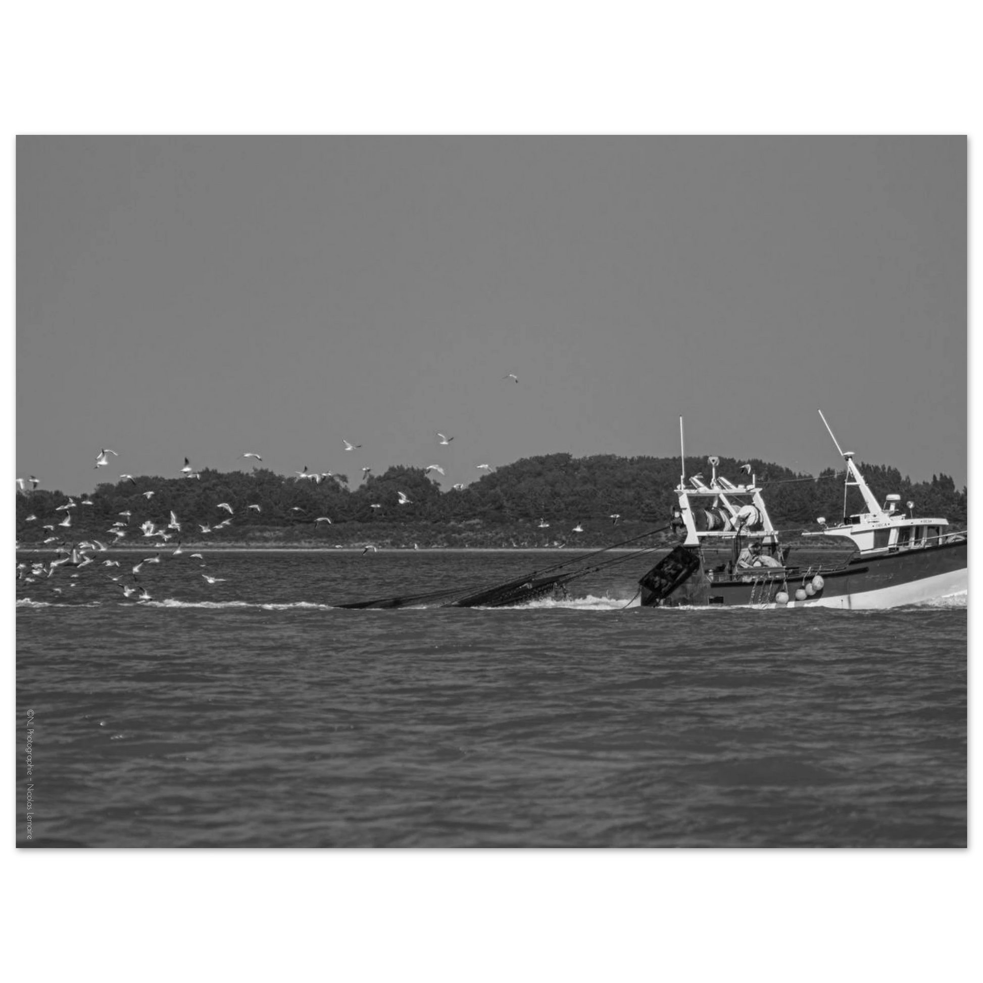 29cc070f-2f26-4295-ad71-caa5b3d4cada