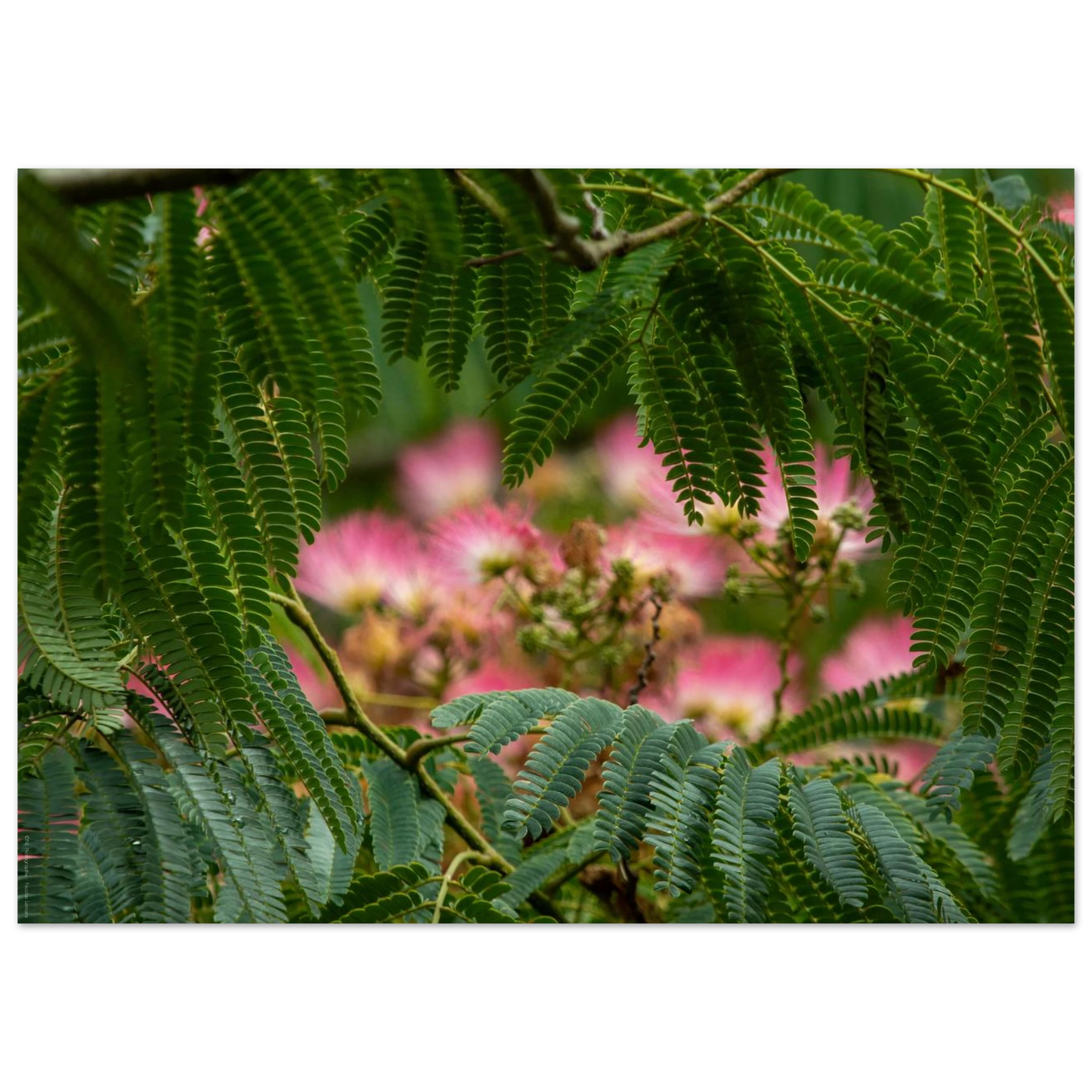 2abbf578-0f8b-4065-8d85-220ae61da66e