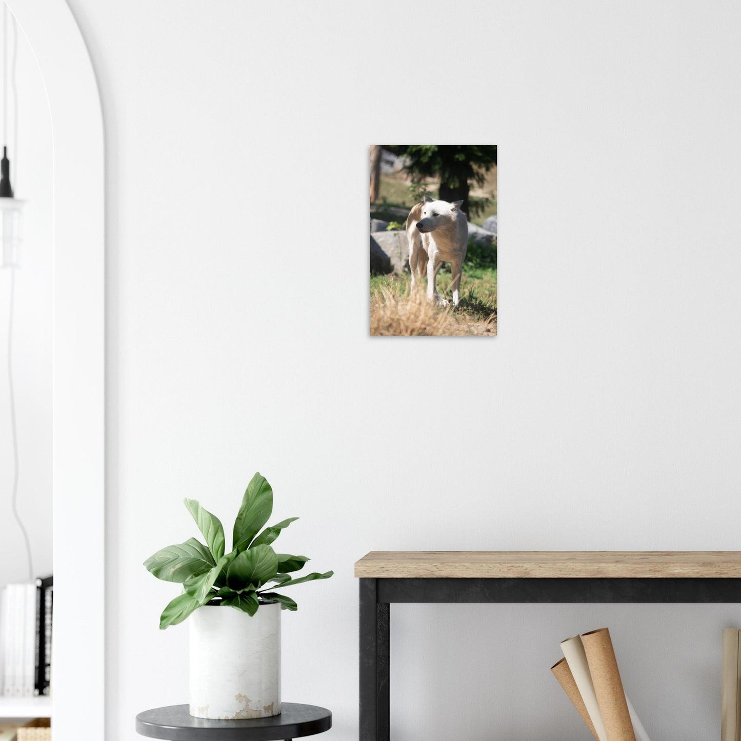 White wolf - Wall decoration