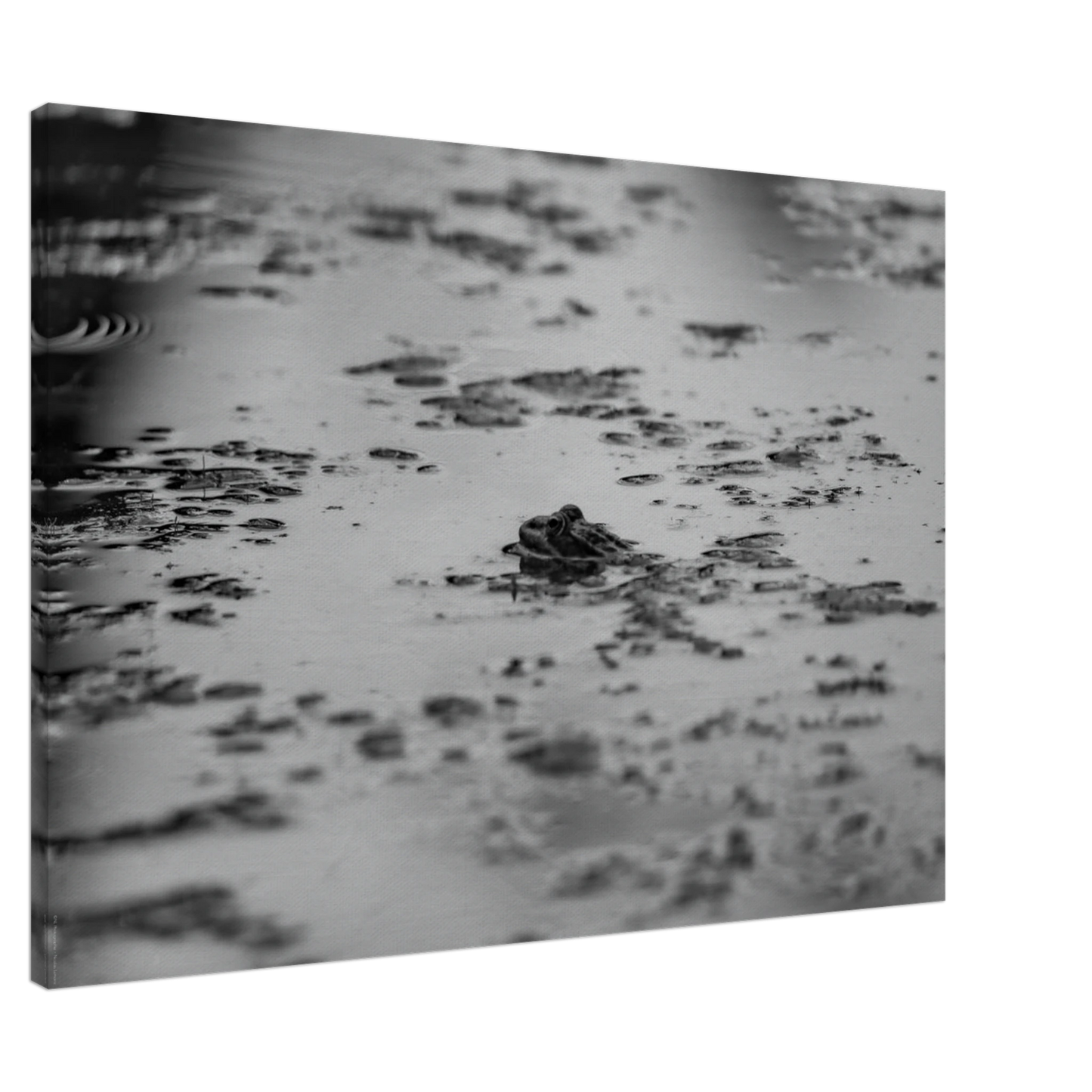 2d488445-bf28-441e-a2df-977696aaeb53