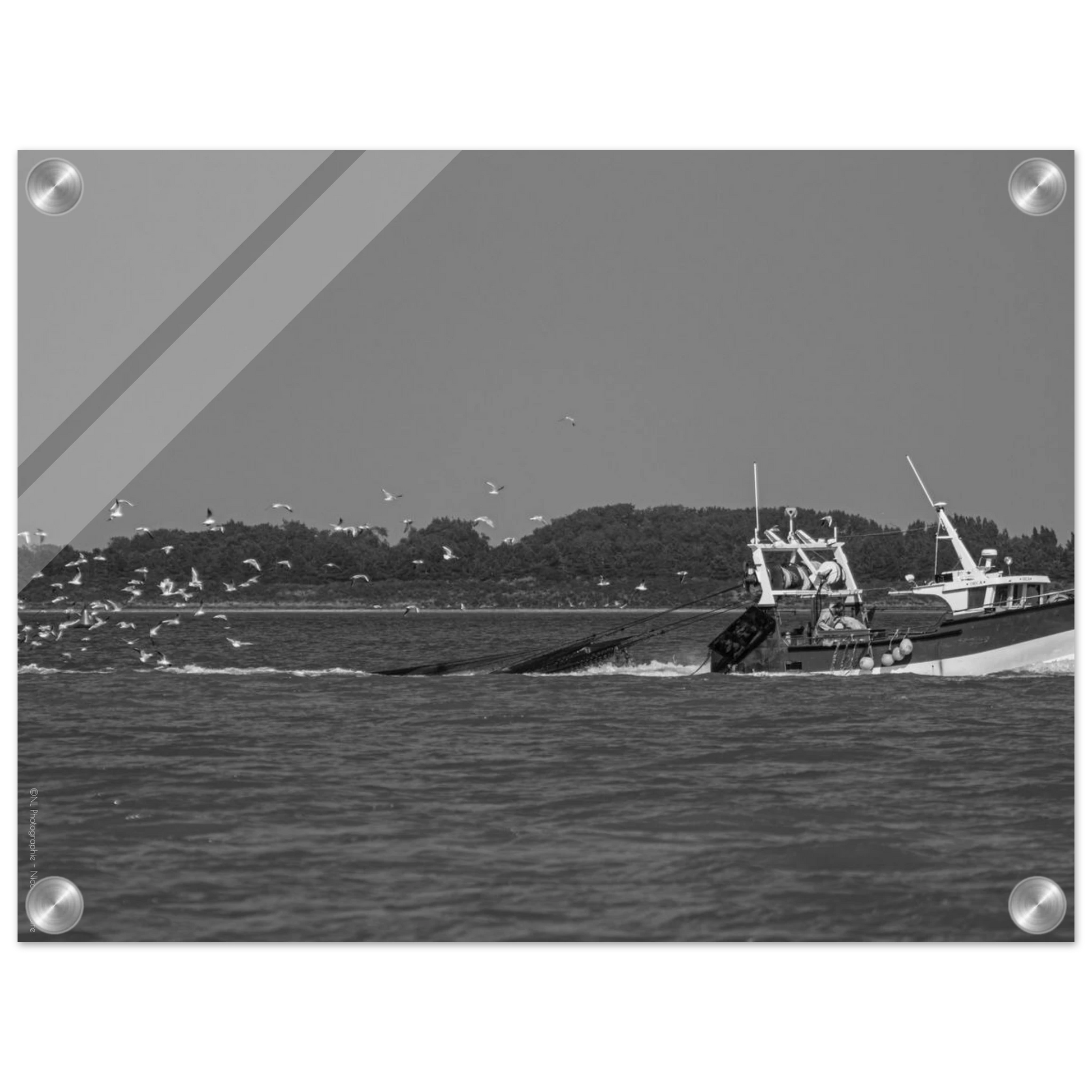 2e082466-be55-4da9-afb4-50a4acfb7095