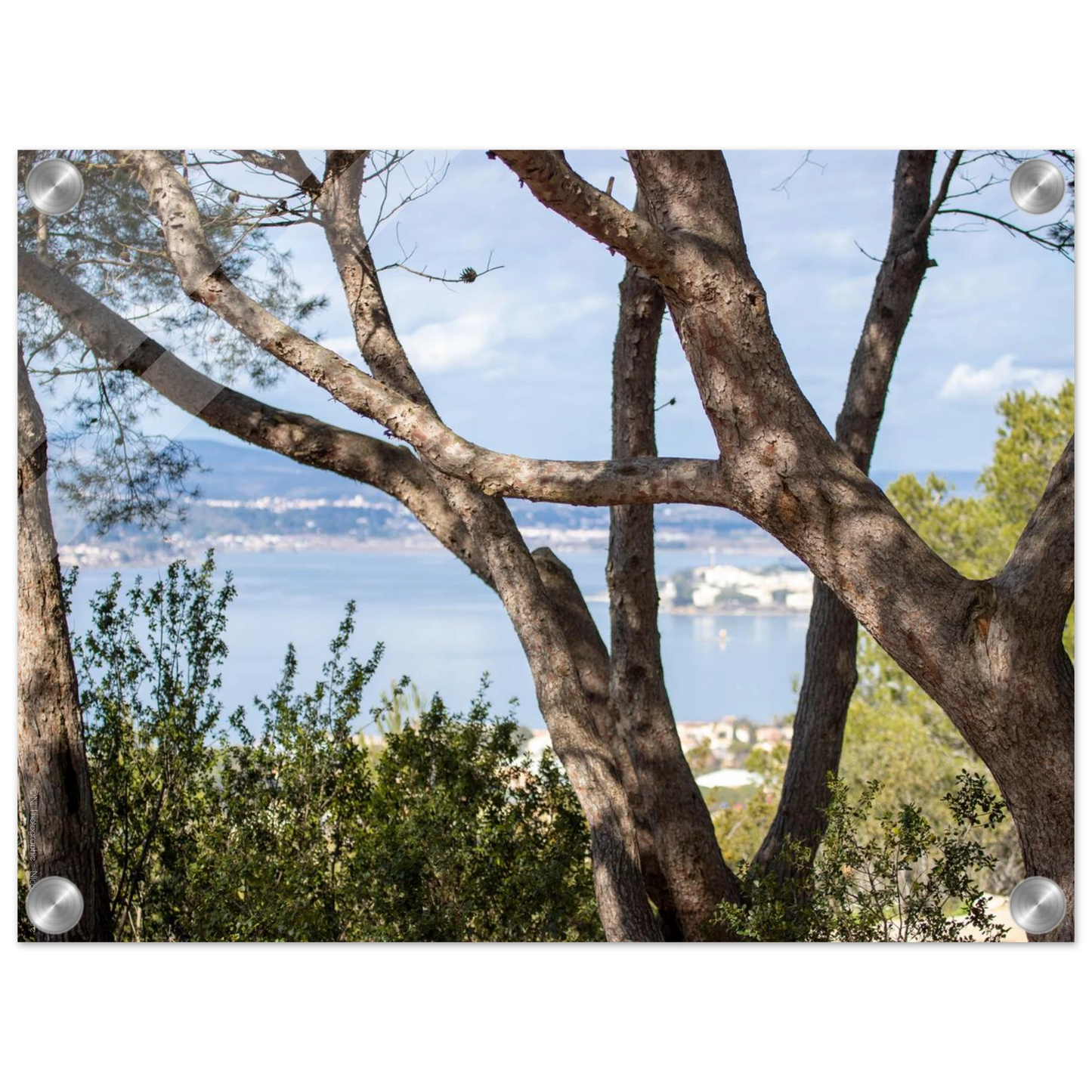 366d1ffa-016e-4f8b-adf8-0f47262a252a