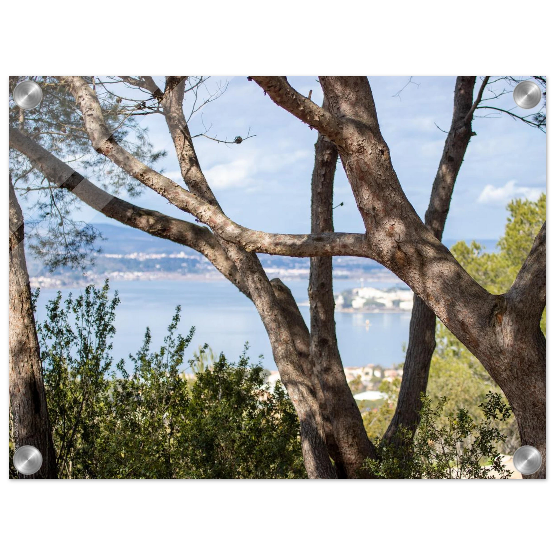 366d1ffa-016e-4f8b-adf8-0f47262a252a