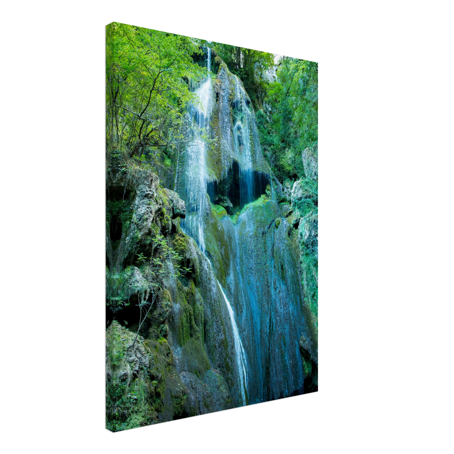 3d96ddaa-c1d4-4c1d-b3e6-1930829e32de