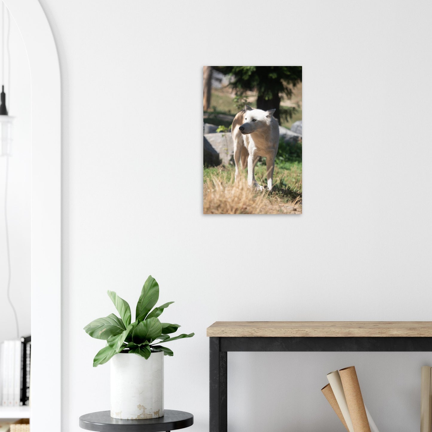 White wolf - Wall decoration