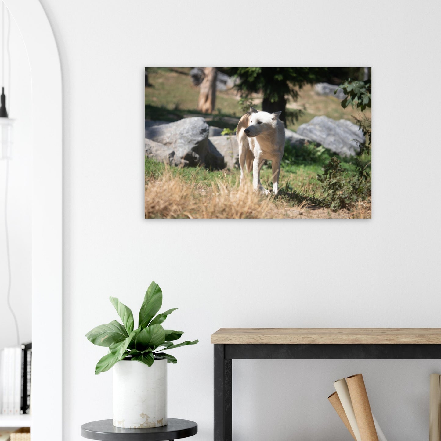 White wolf - Wall decoration