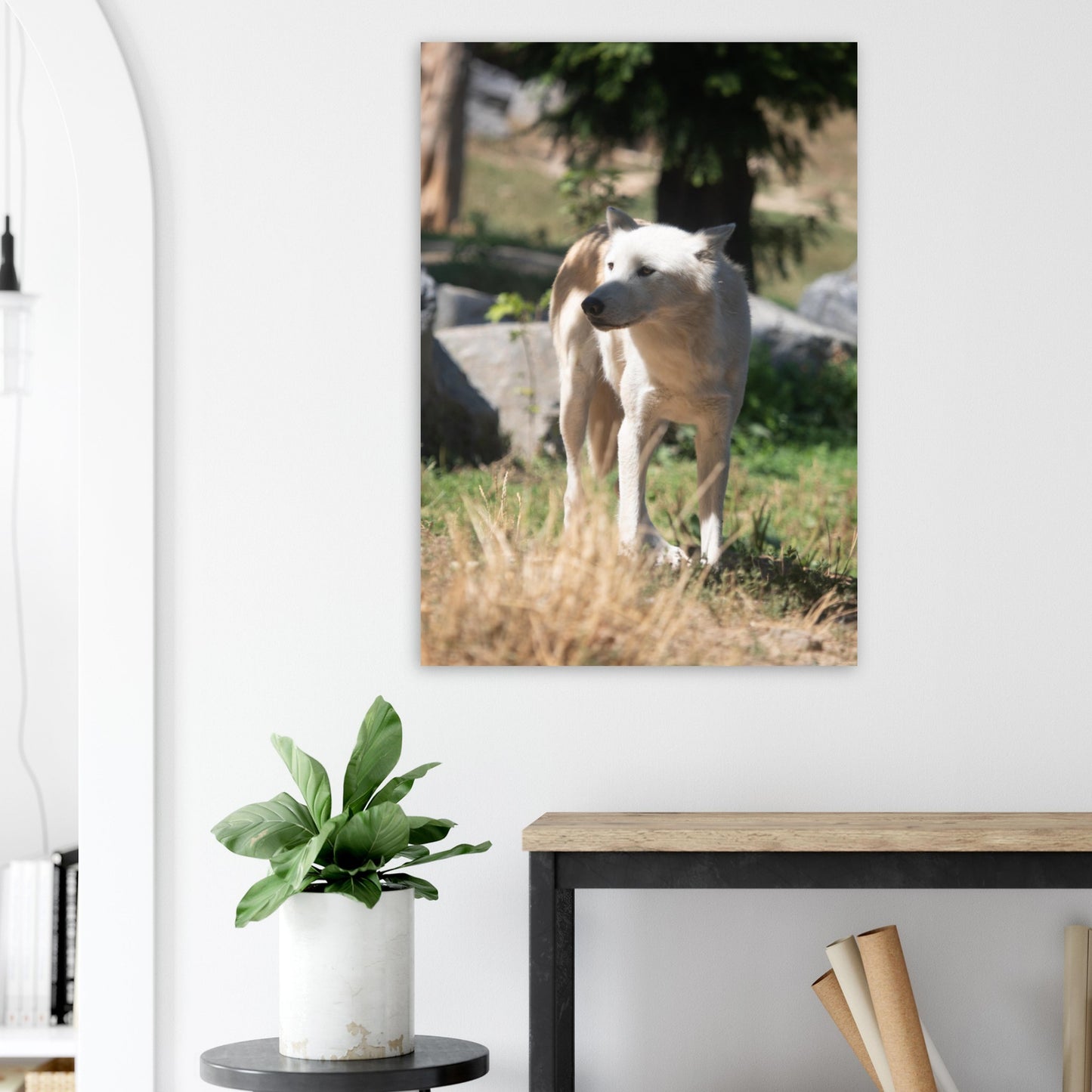 White wolf - Wall decoration