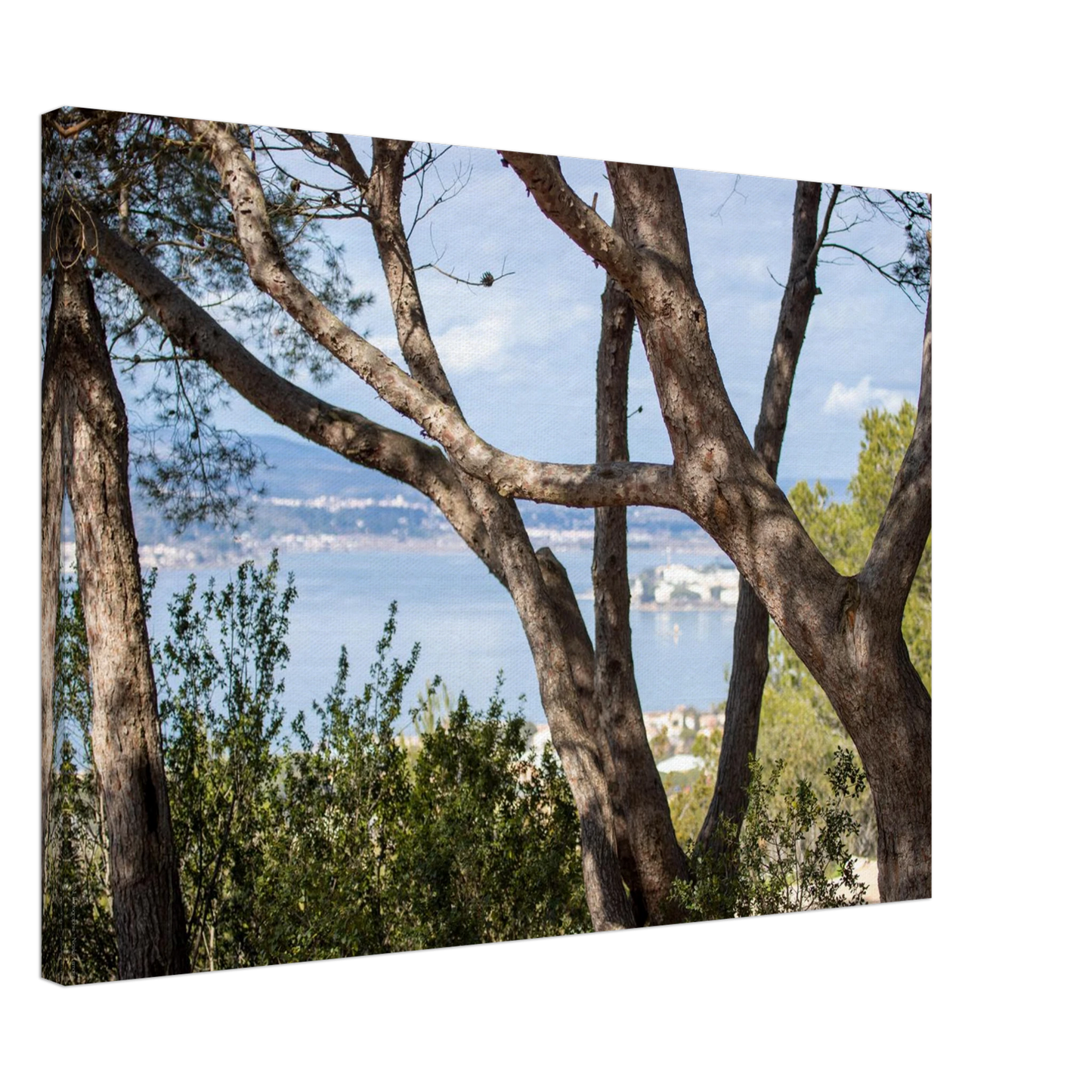 451a3ced-932d-46c7-b170-c4fd97580aed