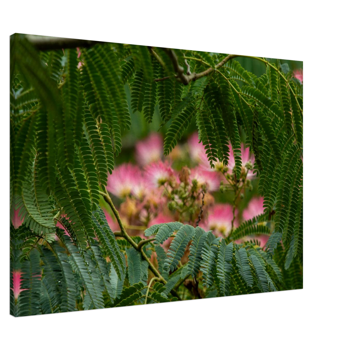 49141a7d-cb2d-44ed-abd7-75c6dd9c34a3