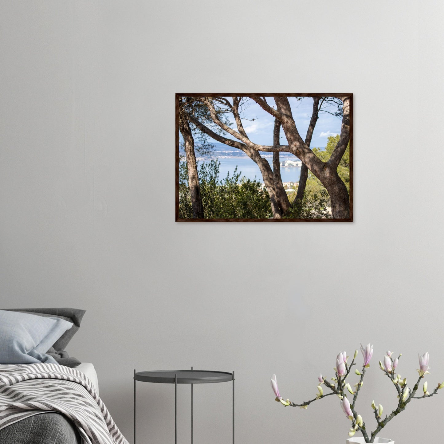 Arbres, étang de Thau - France