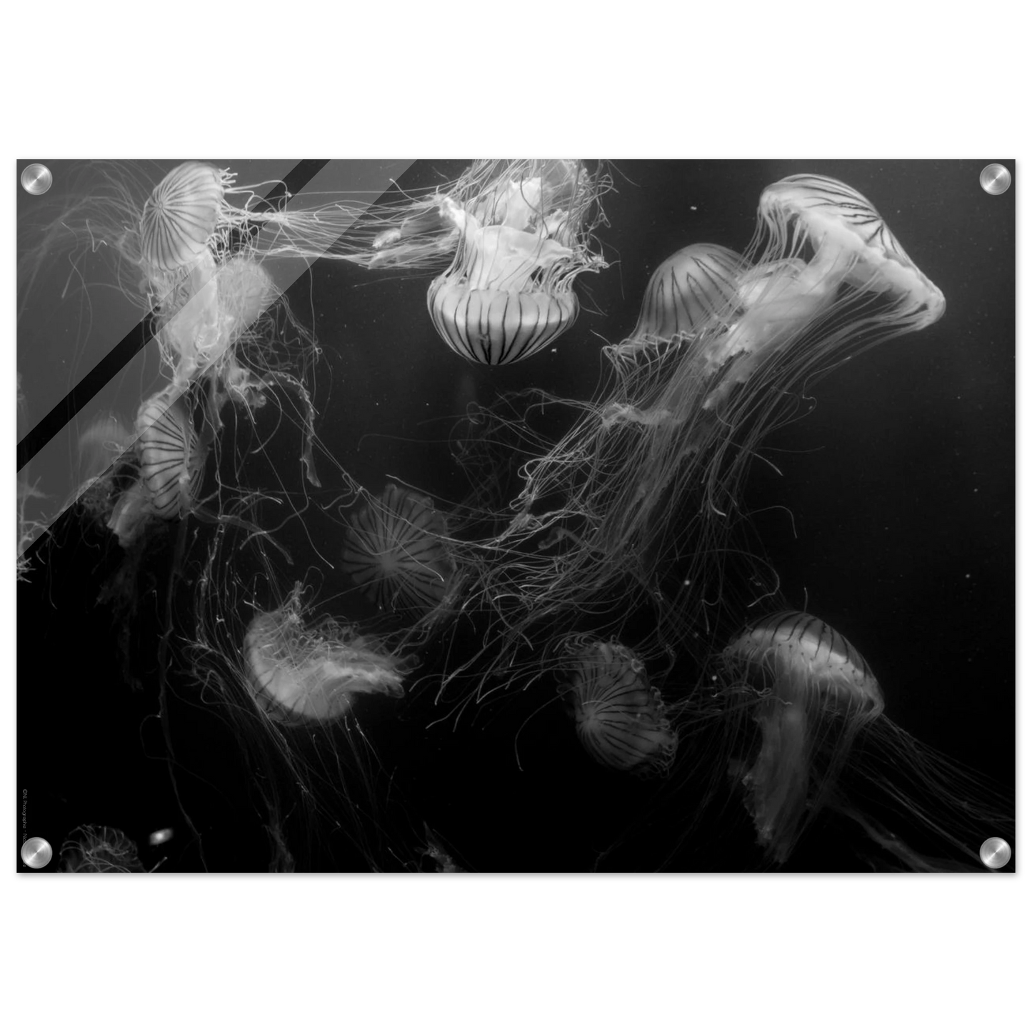 5012a6b9-2bb0-4db4-a52d-c08c8d8b7533
