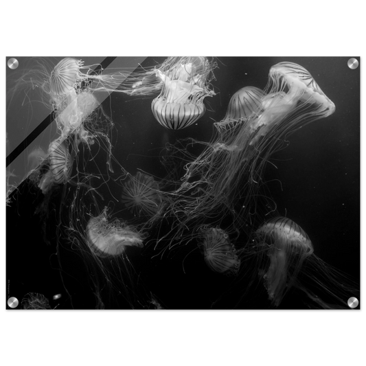 5012a6b9-2bb0-4db4-a52d-c08c8d8b7533