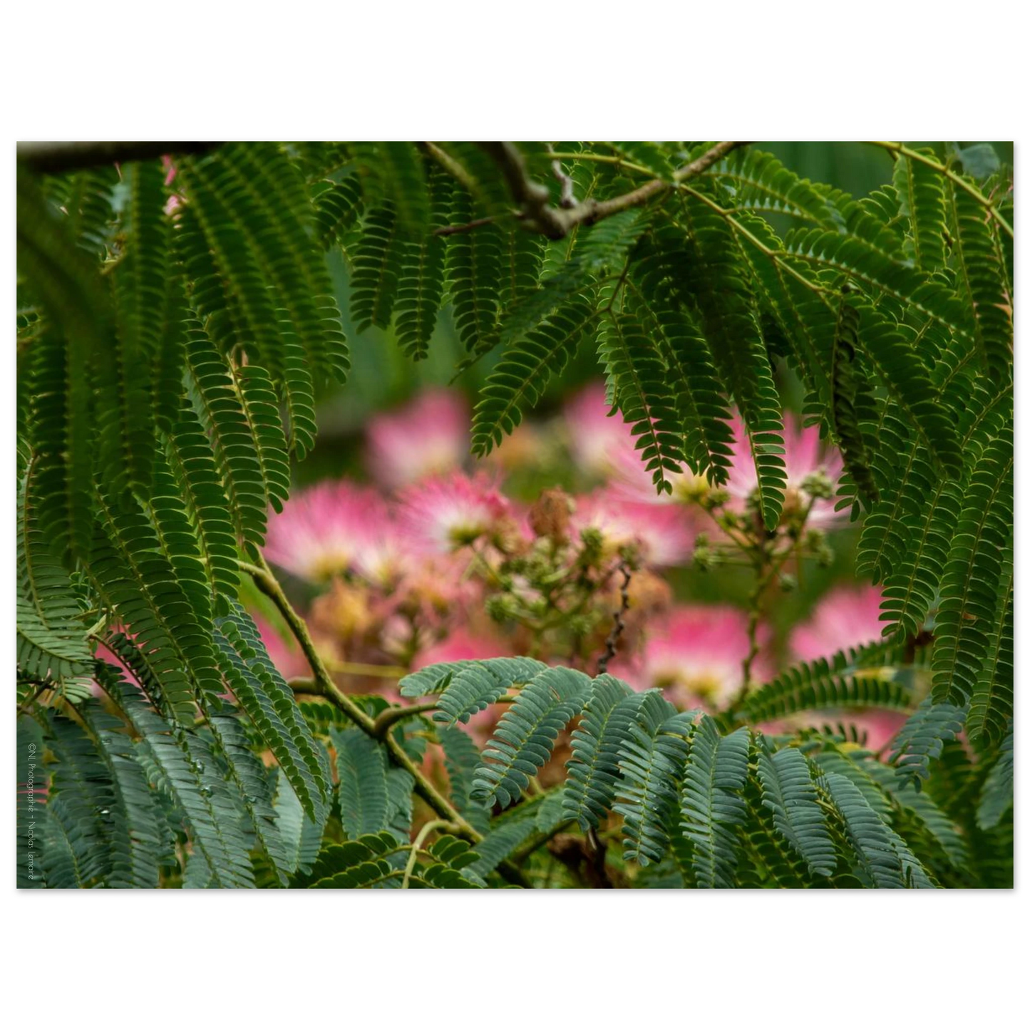 5b2fba95-7ef8-4432-aeda-b0cbd3044edd