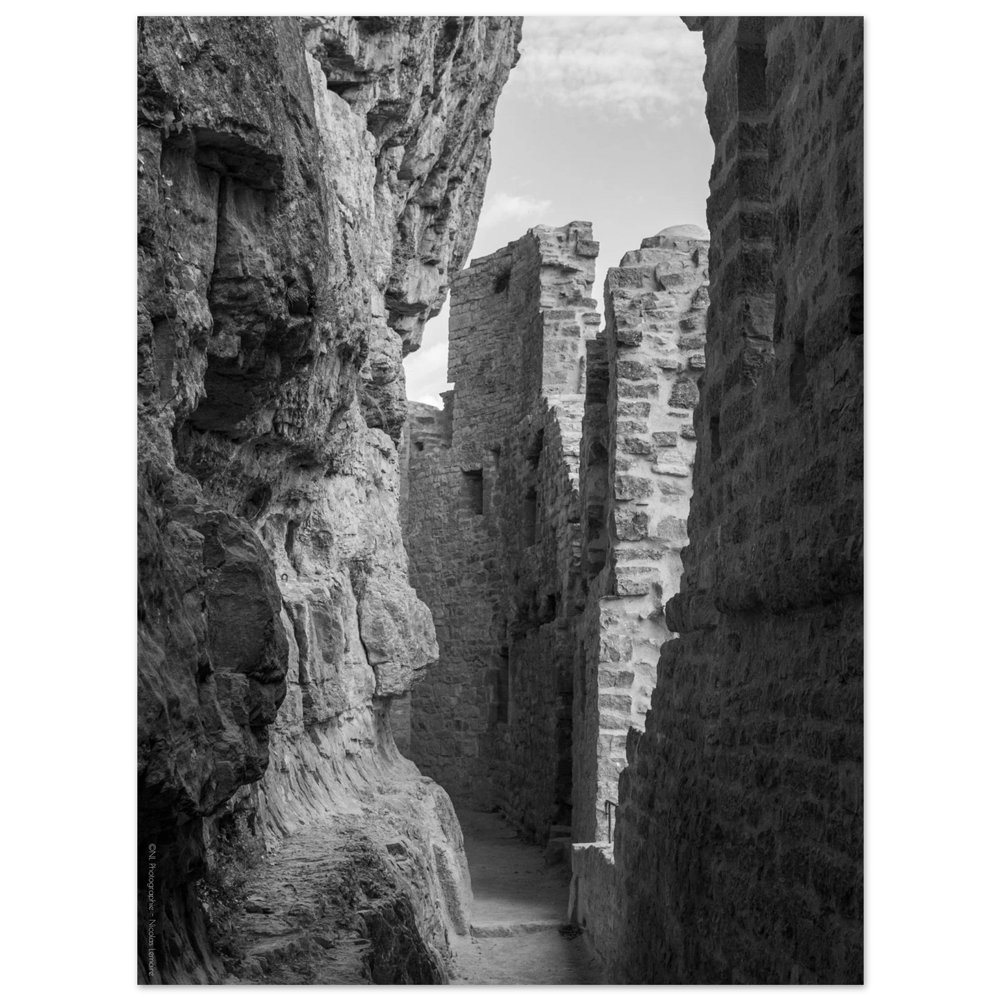 5d37acec-7d22-4de8-b447-910bce804e1e