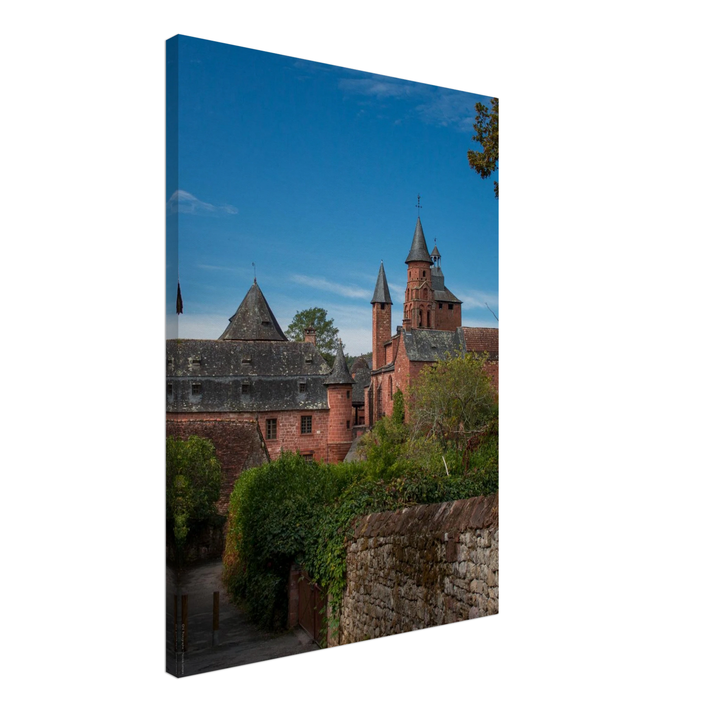 5f1c8362-019b-4253-9af0-349cc6d8a7d4